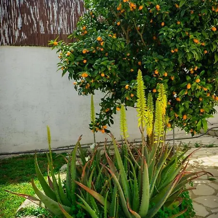 Maison d'hôtes La Casita De Invitados